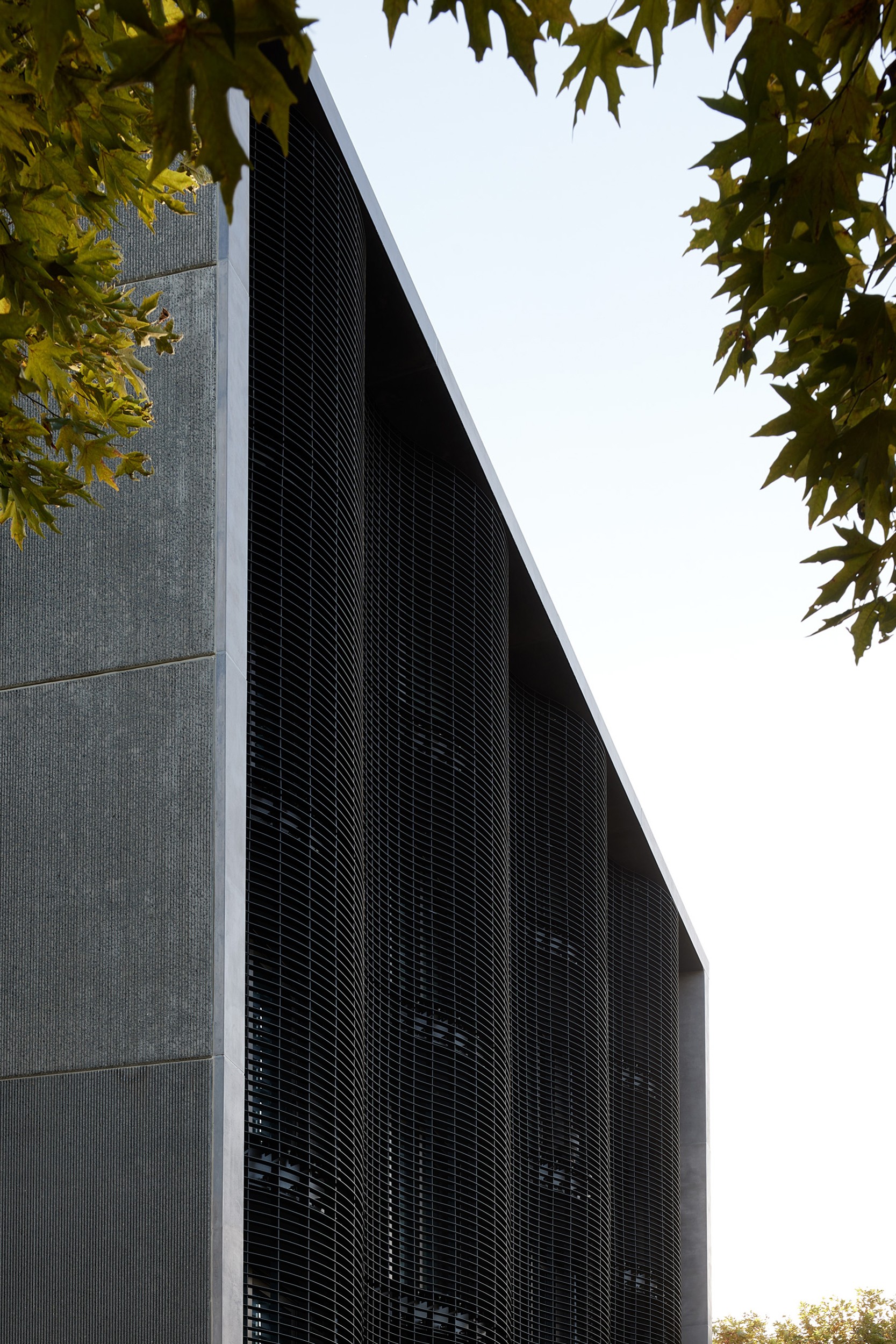 Monk Mackenzie Jervois Road